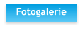Fotogalerie