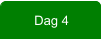 Dag 4