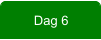 Dag 6