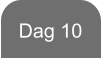 Dag 10