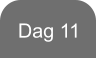 Dag 11