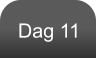 Dag 11